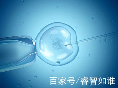 好孕故事